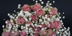 bouquet mariage rose blanche